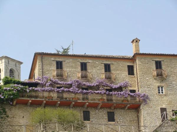 Altes Haus mit Kletterpflanzen umgeben — Stockfoto