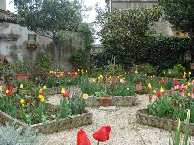 renkli çiçek bir sürü 