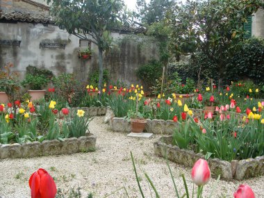 renkli çiçek bir sürü 