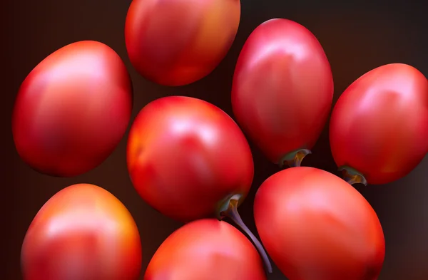 Nuova Zelanda albero sempreverde frutta verdura, Tamarillo — Vettoriale Stock