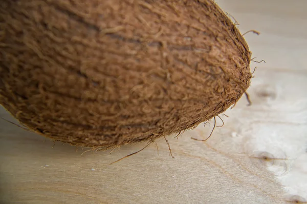Grande coco inteiro com superfície peluda — Fotografia de Stock