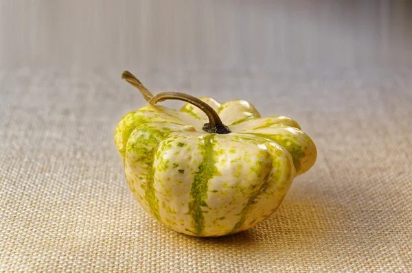 Decorative pumpkins for festive table decoration — Stock Photo, Image