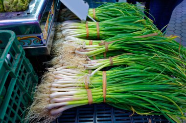 Soğan büyük altın üstünde belgili tanımlık sayaç