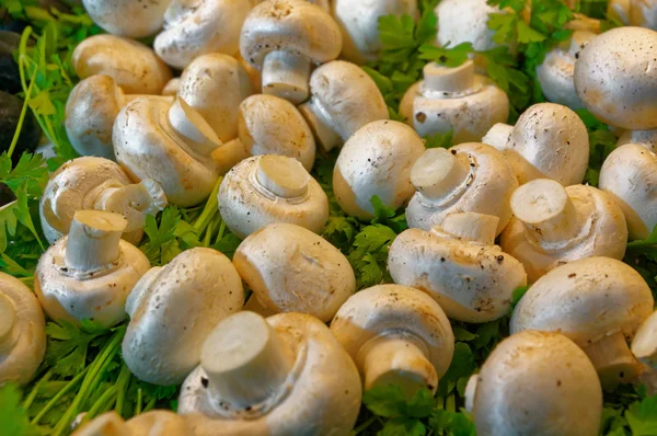 Очищені гриби серед зелені — стокове фото