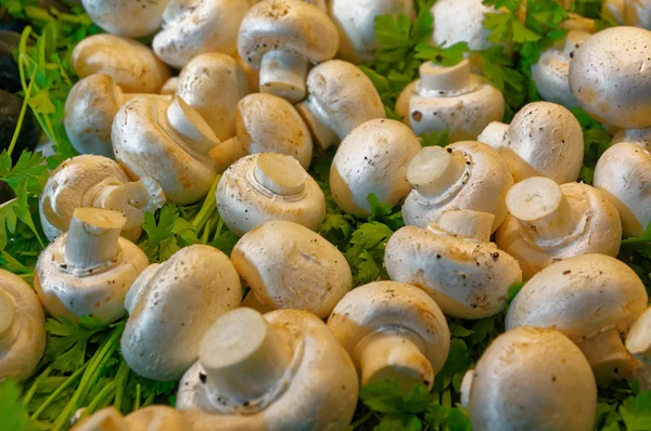 Peeled mushrooms among the greenery — Stock Image Peeled mushrooms among the greenery Stock Image
