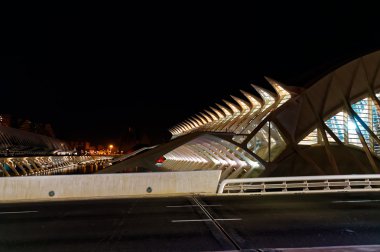Valencia, İspanya - 31 Aralık gece kenti sanatları City