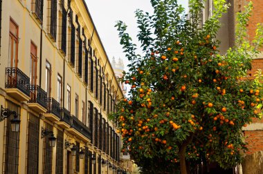Cephe taş evlerin mimari detaylar. Valencia. İspanya.