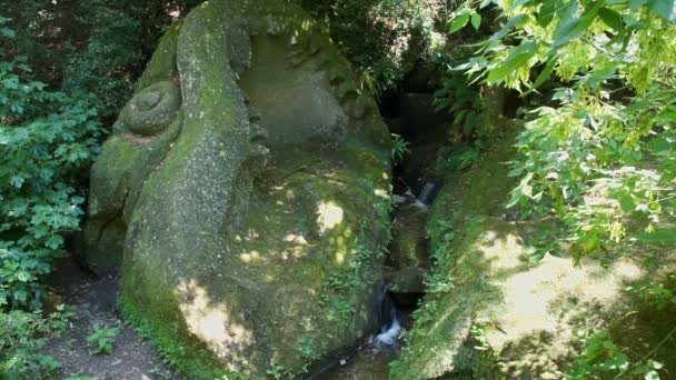 Arroyo de montaña entre viejas piedras y vegetación — Vídeos de Stock