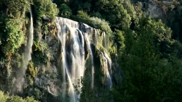 Cascada de montaña entre vegetación — Vídeo de stock