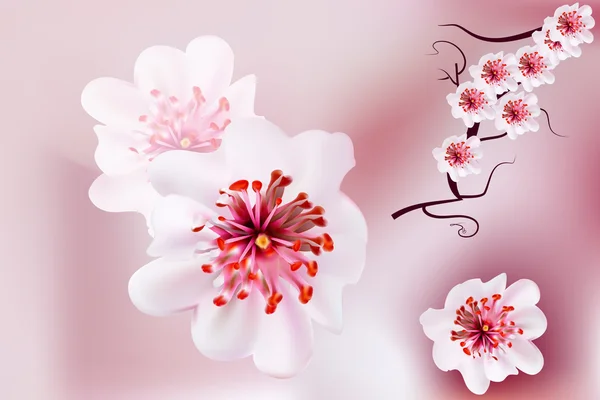 Flores de sakura de flor de cerezo rosa al estilo japonés — Vector de stock