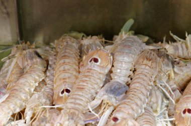 Kral karides Mazzancolle