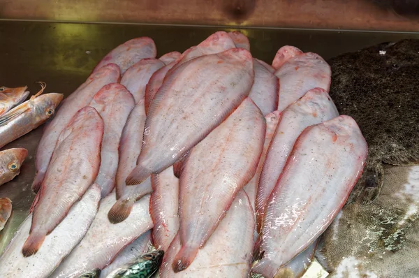 Pesce fresco della cucina mediterranea — Foto Stock