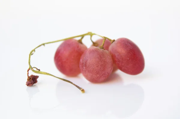 Bayas maduras brillantes de uvas rojas — Foto de Stock