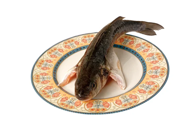Гурманка морська риба шигола морська — стокове фото