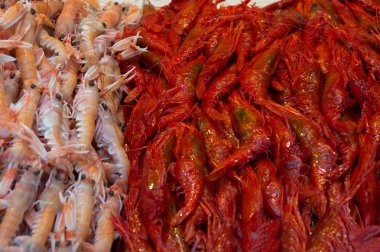 Tablolarda pazarının büyük karides