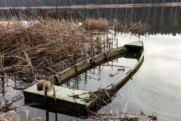 Velho barco de madeira cheio de água nos juncos — Fotografia de Stock