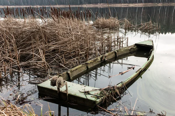 Velho barco de madeira cheio de água nos juncos — Fotografia de Stock