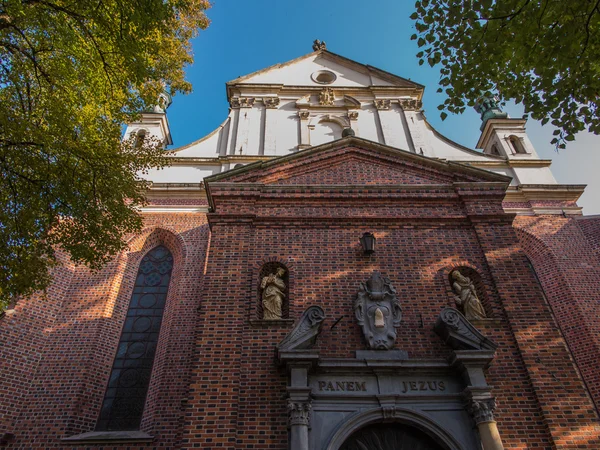 Fragmento de la fachada de la histórica catedral de Sando —  Fotos de Stock