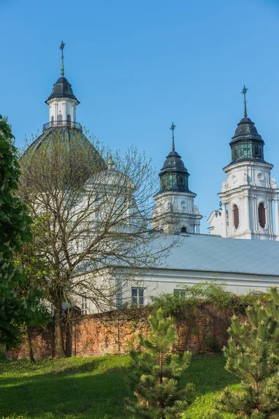 Heiligdom, de basiliek van de Maagd Maria in Chelm in Oost-Pola — Stockfoto