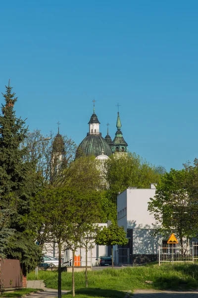 Shrine, the Basilica of the Virgin Mary in Chelm in eastern Pola — Stock Photo, Image