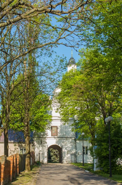 Tapınak, Doğu Pola Chelm Meryem Bazilikası — Stok fotoğraf