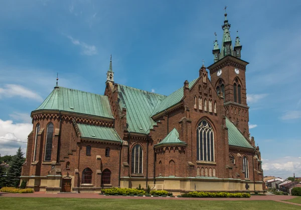 Die Kirche des Hl. Johannes in Sokolow malopolski — Stockfoto