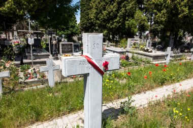 1919 Polonya-Sovyet Savaşı 1920 yılında ölen askerlerin mezarları 