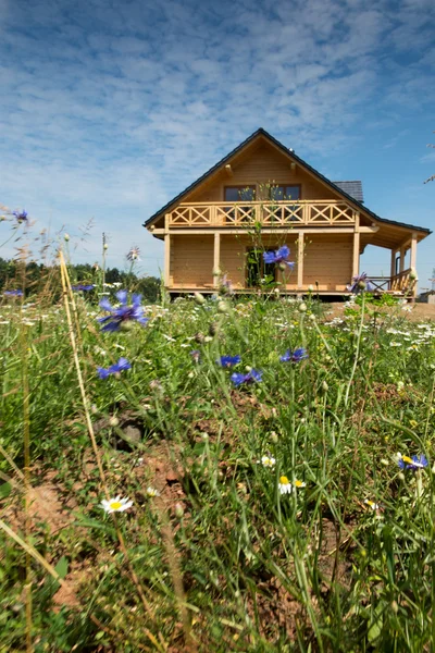 Vahşi çiçekler tarafından çevrili bir ahşap ev — Stok fotoğraf