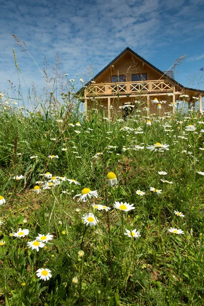 Drewniany dom, otoczony przez dzikie kwiaty — Zdjęcie stockowe
