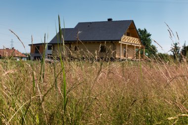 uzun otların ile çayır