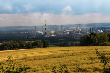Mount St. Anna görünümü üzerinde kokain bitki Zdzieszowice 