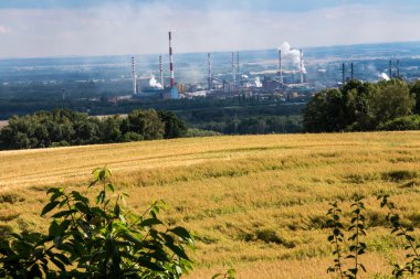 Mount St. Anna görünümü üzerinde kokain bitki Zdzieszowice 