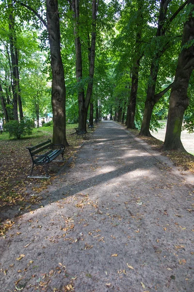 Benches at the alley in the old park — Stock Photo, Image