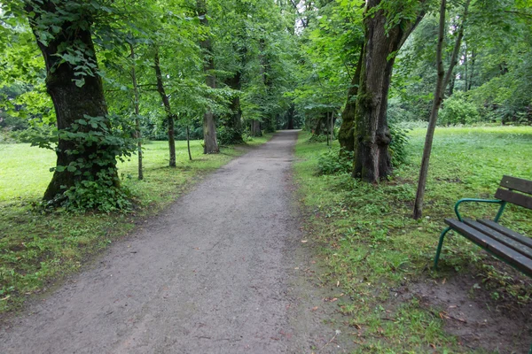 Empty bench at the alley in the old park — Stock Photo, Image