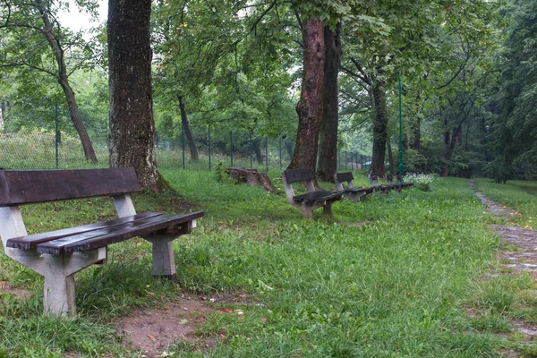 Пустая скамейка в переулке в старом парке — стоковое фото