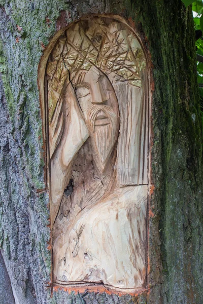 O rosto de Cristo esculpido no tronco de uma tília quebrada — Fotografia de Stock