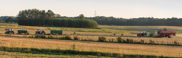 Innhøsting, høstfeltarbeid – stockfoto