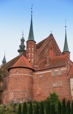 Frombork Katedrali, Nicolaus Copernicus gömüldüğü yer.