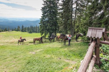 Hala Rysianka, Beskid Zywiecki, Polonya, 4 Eylül 2020: Hala Rysianka barınağı yakınlarındaki Beskid Zywiecki 'de dağ ata binme