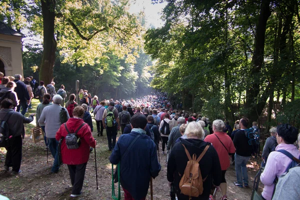 Celebrazioni Religiose Dell Elevazione Della Santa Croce Nel Santuario Sant — Foto Stock