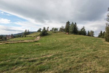 Polonya 'daki Beskid Zywiecki' nin dağ manzarası. Tepelerden çayırlara giden yol, turistik bir patika.