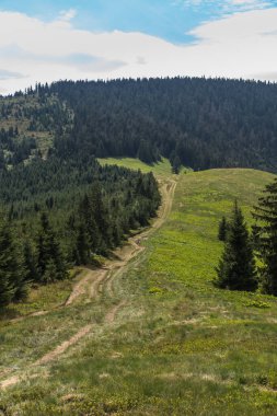 Polonya 'daki Beskid Zywiecki' nin dağ manzarası. Tepelerden çayırlara giden yol, turistik bir patika.