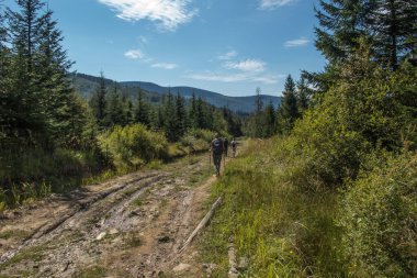 Polonya 'daki Beskid Zywiecki' nin dağ manzarası. Tepelerden çayırlara giden yol, turistik bir patika.