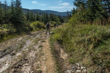 Polonya 'daki Beskid Zywiecki' nin dağ manzarası. Tepelerden çayırlara giden yol, turistik bir patika.