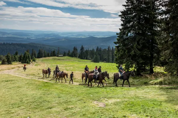 Hala Rysianka Beskid Zywiecki Polonya Eylül 2020 Hala Rysianka Barınağı — Stok fotoğraf