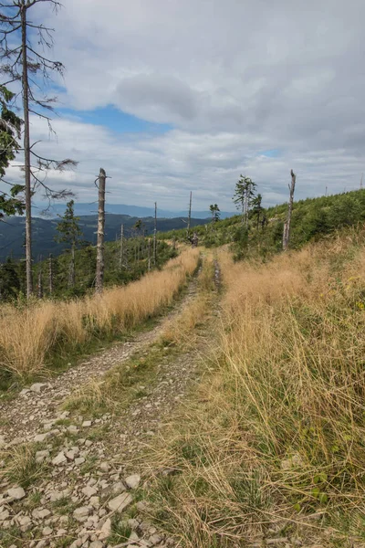 Paysage Montagneux Beskid Zywiecki Pologne Route Menant Travers Les Prairies — Photo