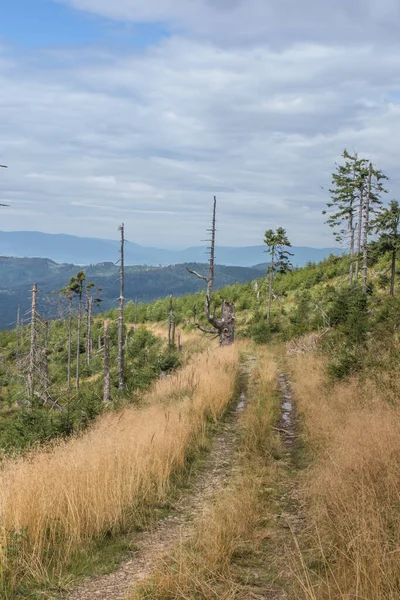 波兰别斯卡尔齐维茨基山脉的山地景观 那条穿过草地的路穿过高峰 那是一条旅游小径 — 图库照片