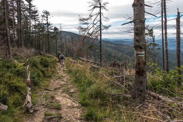 Bergslandskapet Beskid Zywiecki Polen Vägen Som Leder Genom Ängarna Genom — Stockfoto