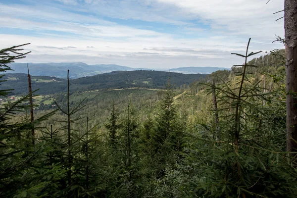 Paysage Montagne Beskid Zywiecki Pologne — Photo