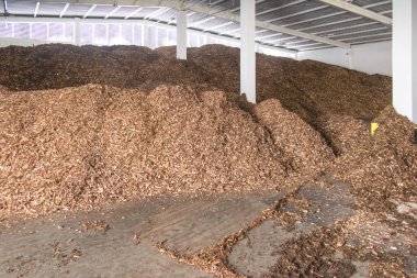 Biyokütle, odun parçacıkları şeklinde ve kirli bir yığın üzerinde biyokütle kazanları için yakıt olarak yatıyor.